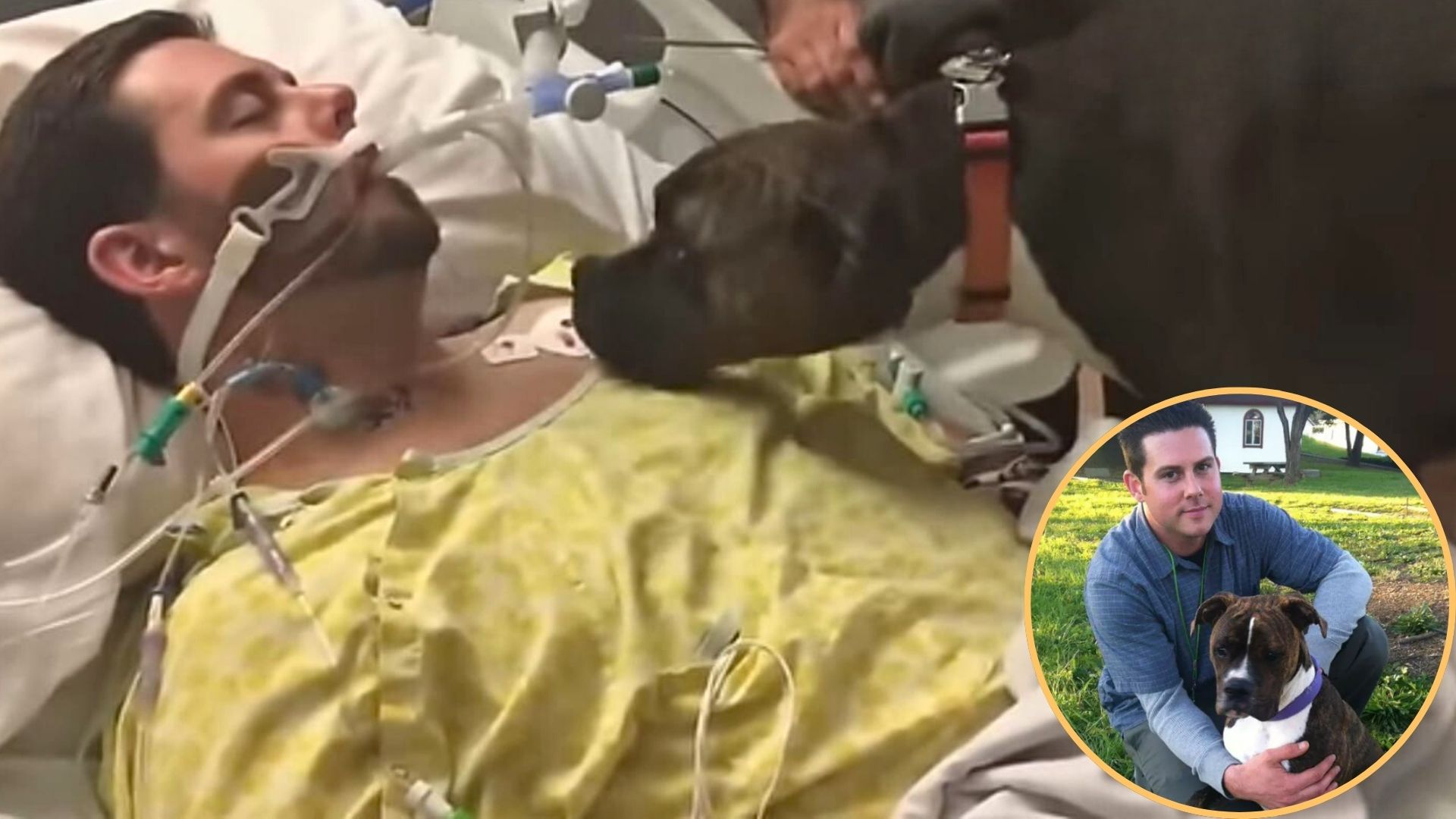 Dog Visits Her Beloved Owner In A California Hospital And The Reason Why Will Break Your Heart