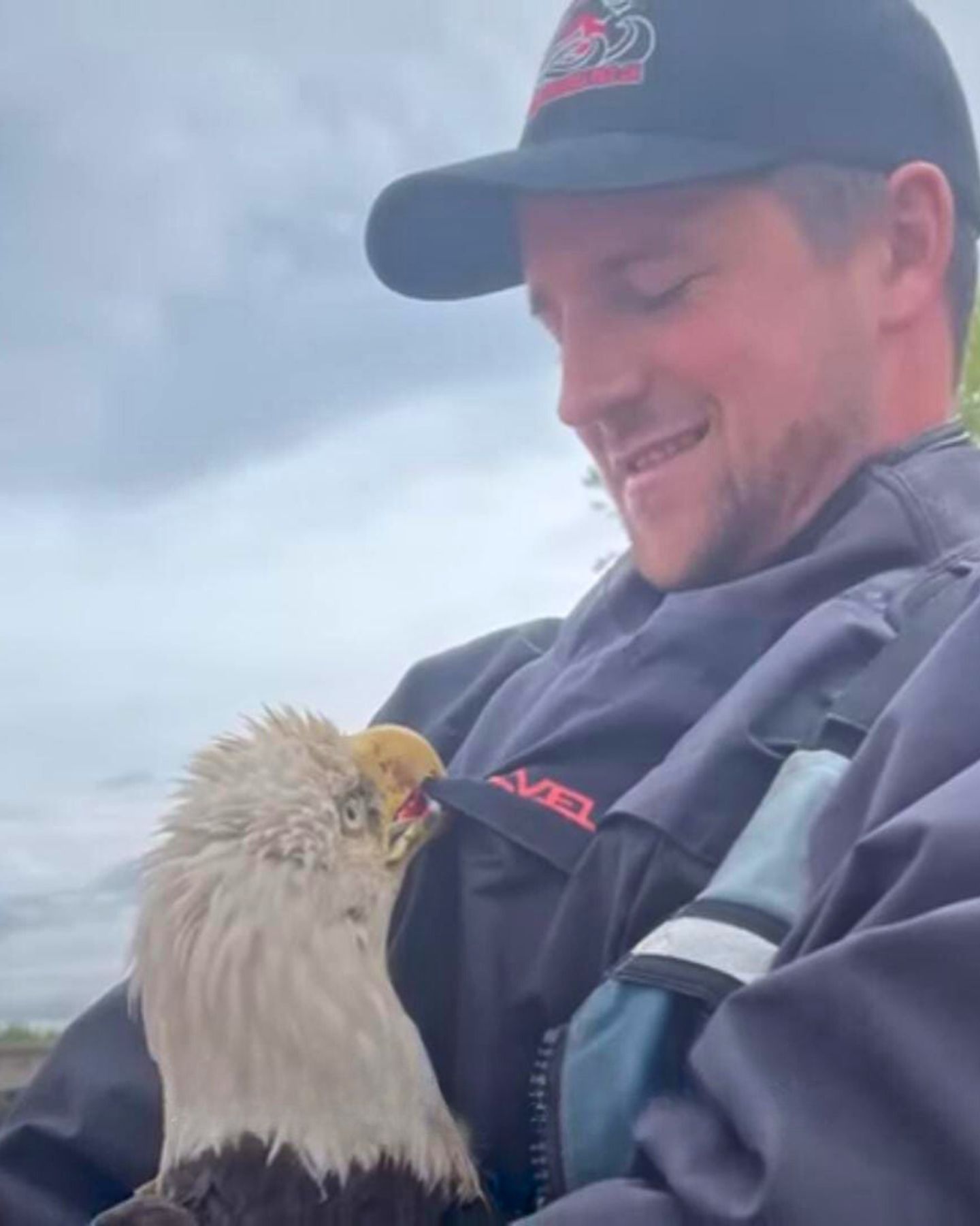 bald eagle and man