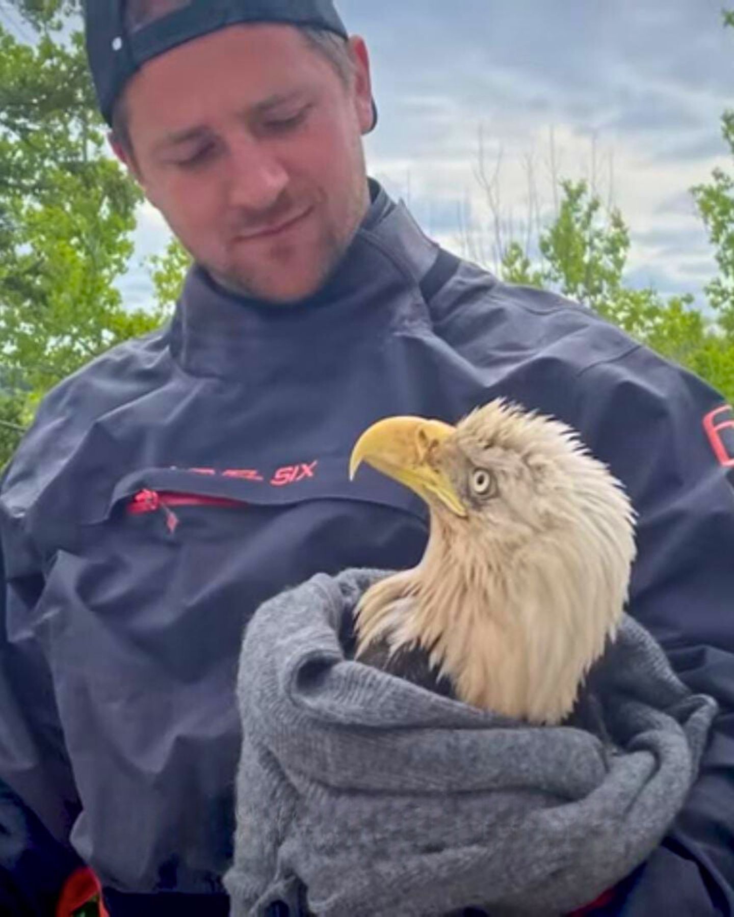 bald eagle and rescuer