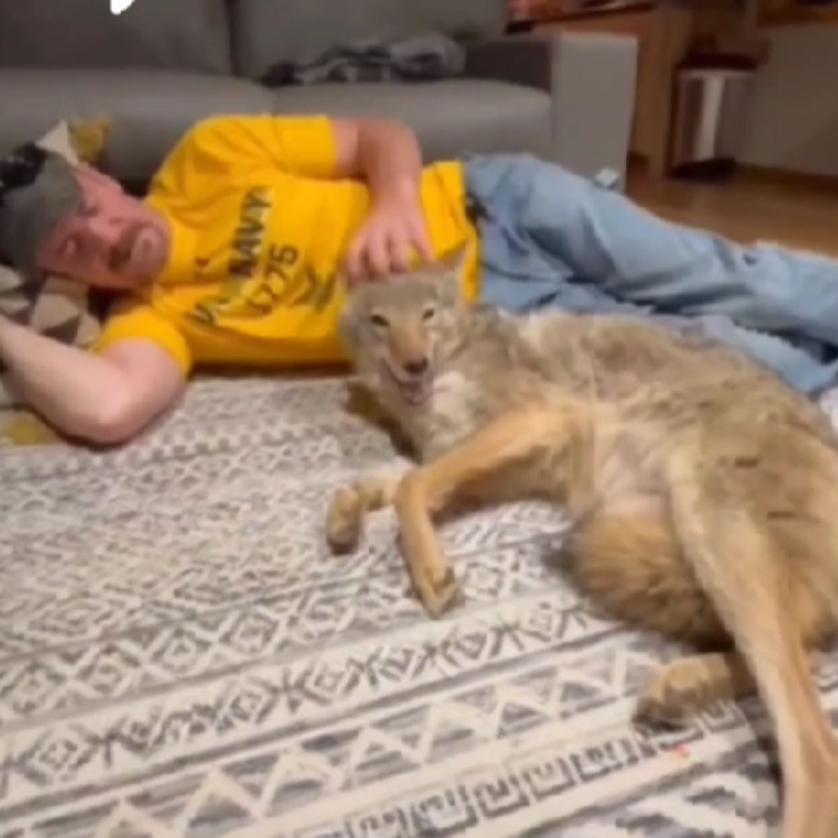 guy and coyote laying down