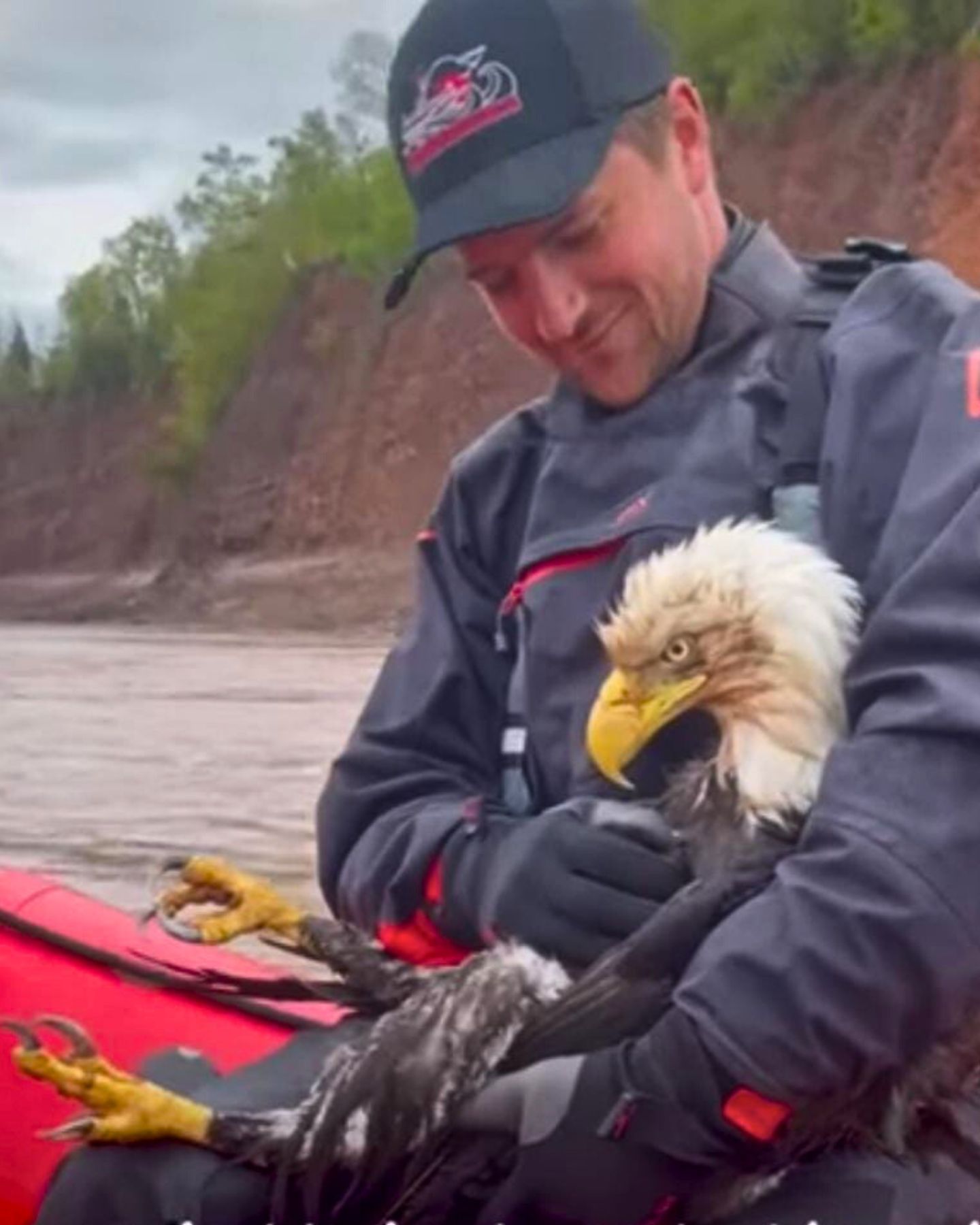 guy holding a bald eagle