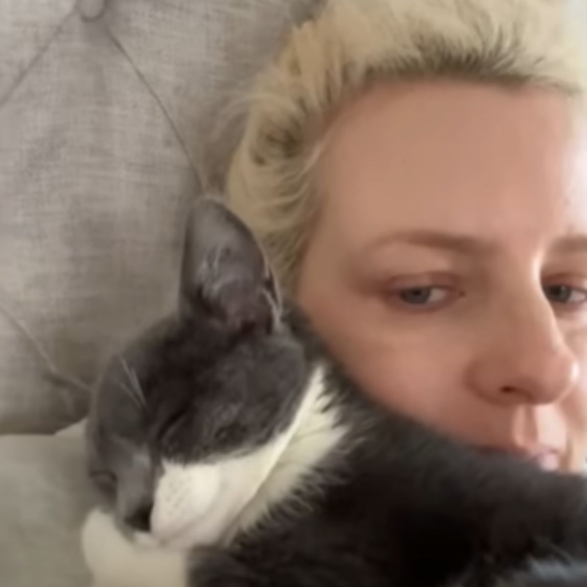 kitten cuddling with woman