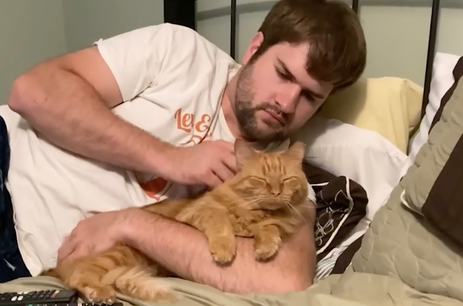 owner and ginger cat