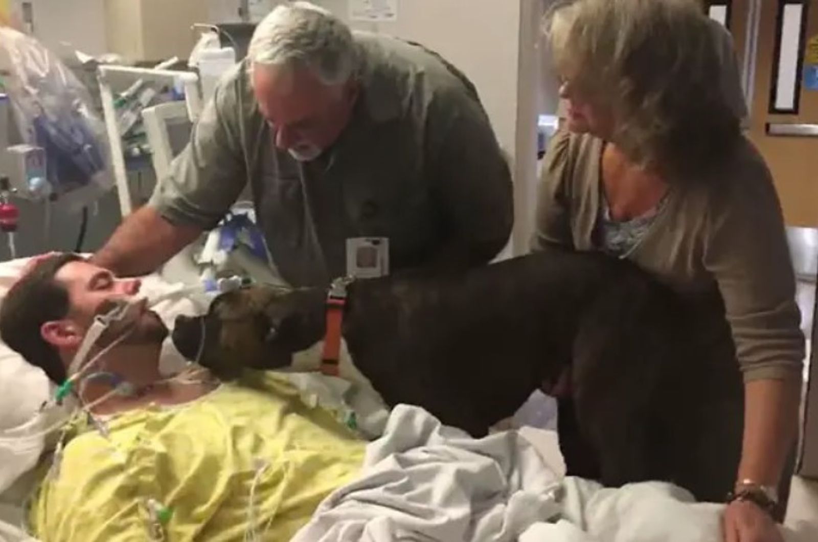 senior man and woman brought dog to the hospital