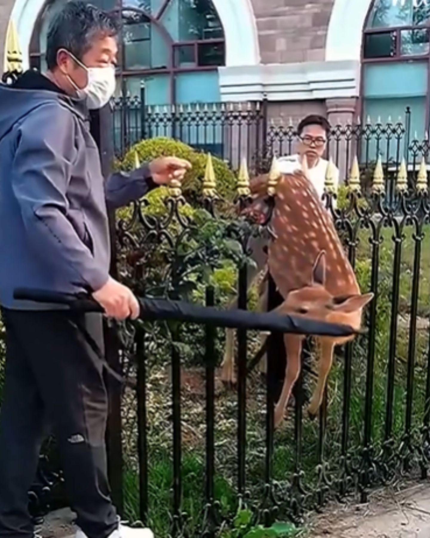 two men helping the deer