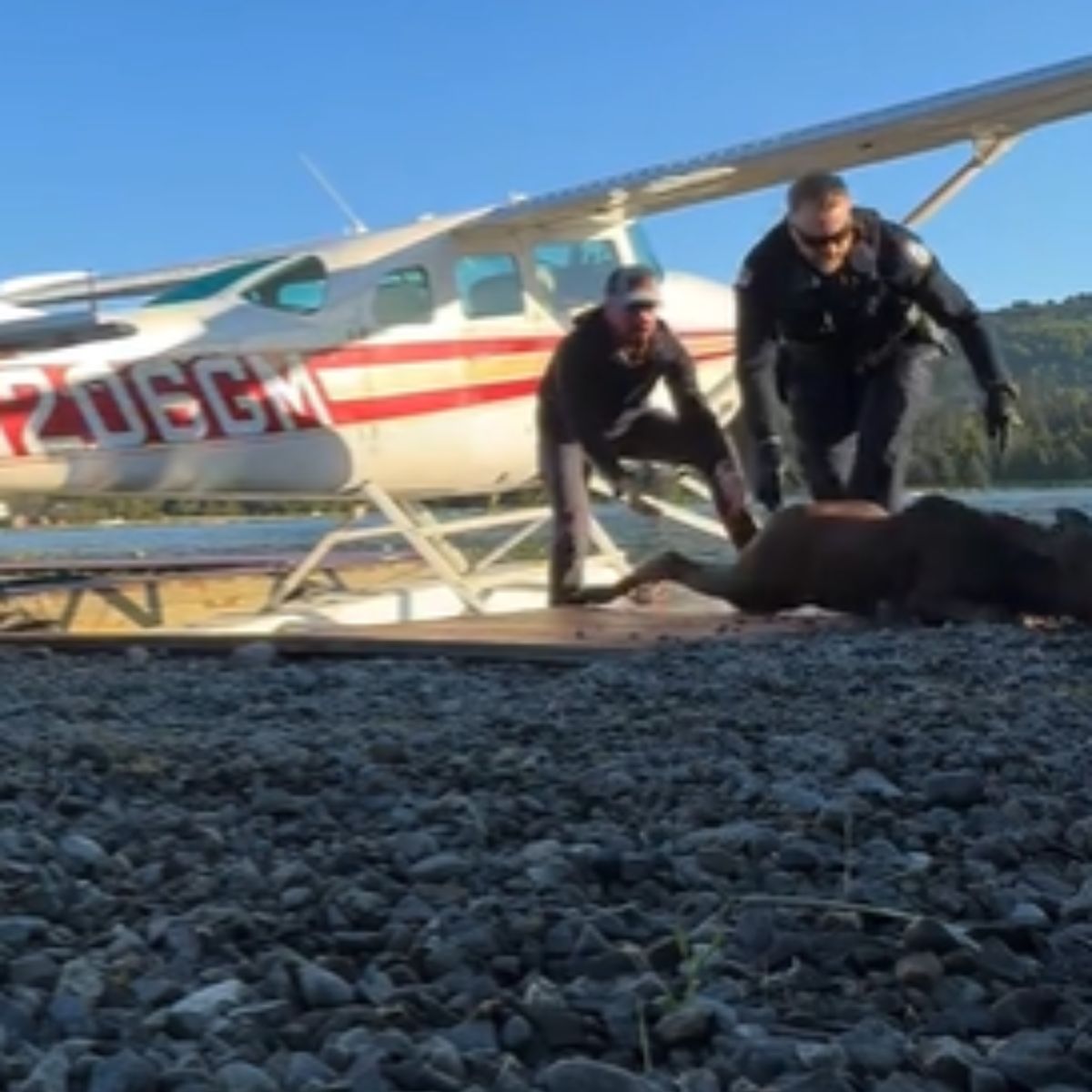 two officers saving moose