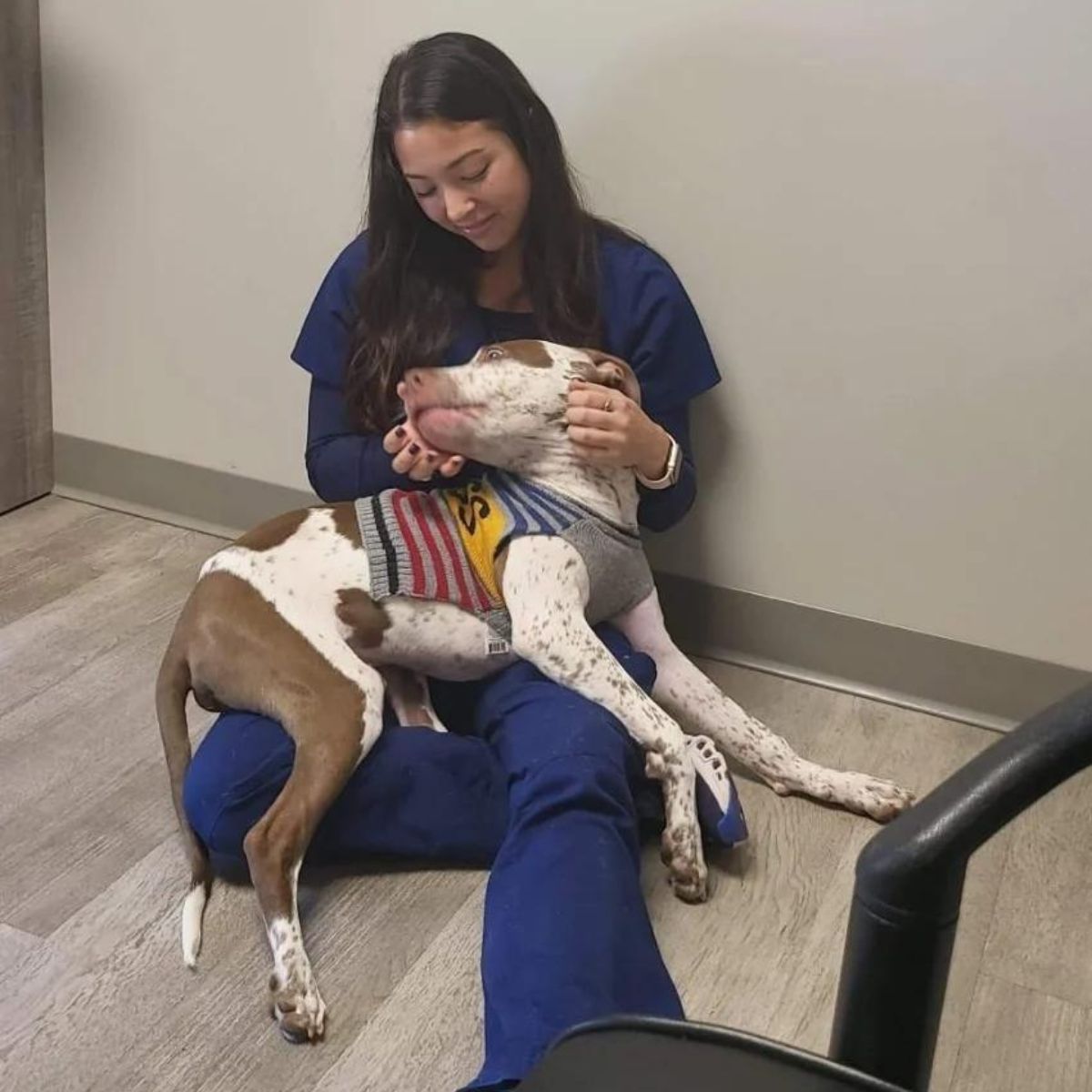 vet and cute dog