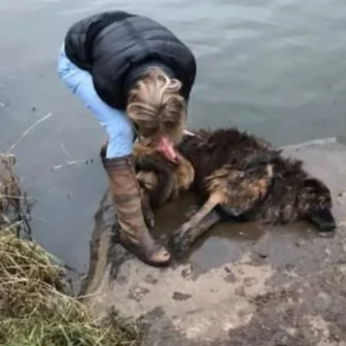 woman and Belgian shepherd next to water