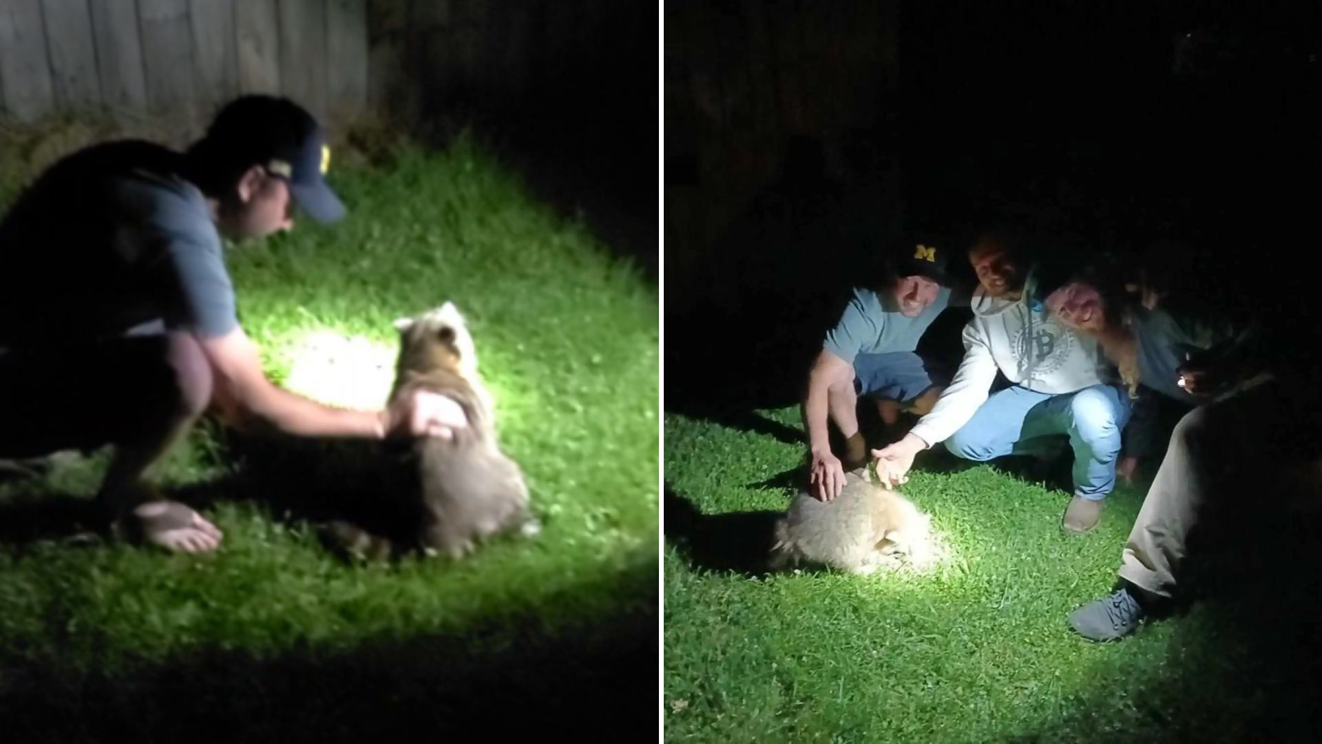 Party Suddenly Turns Into A Life-Saving Mission When An Unexpected Visitor Starts Choking