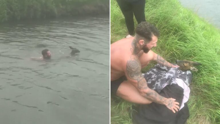 Man Risks His Life By Jumping Into Freezing Water To Save Baby Deer