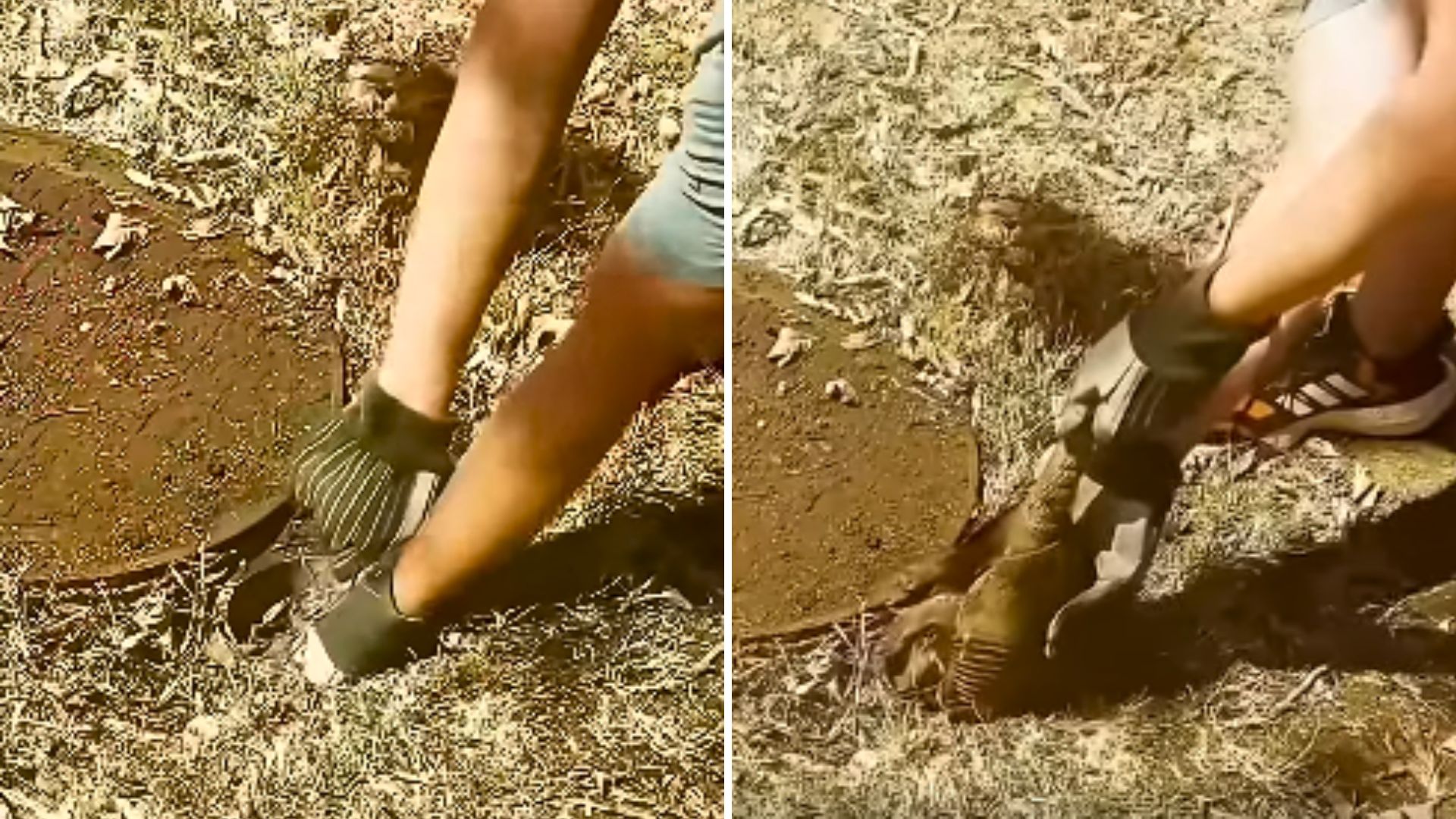 Man Spots A Strange Tail Wiggling From A Hole In The Ground And Decides To Investigate