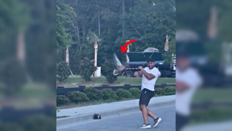 Man’s Attempt To Save Ducklings Turns Into A Hilarious Showdown With An Angry Mother Duck