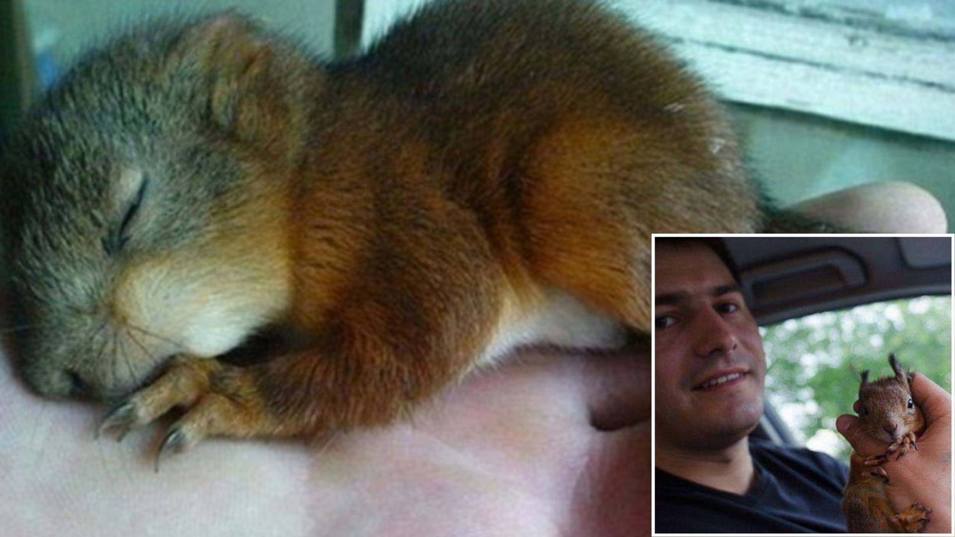 Soldier Finds Baby Squirrel In Critical Condition And Ends Up Changing His Life For The Better