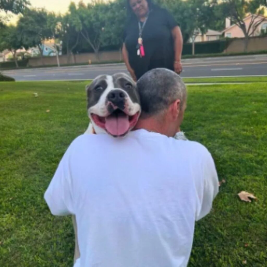 a dog in the arms of its owner with an outstretched tongue