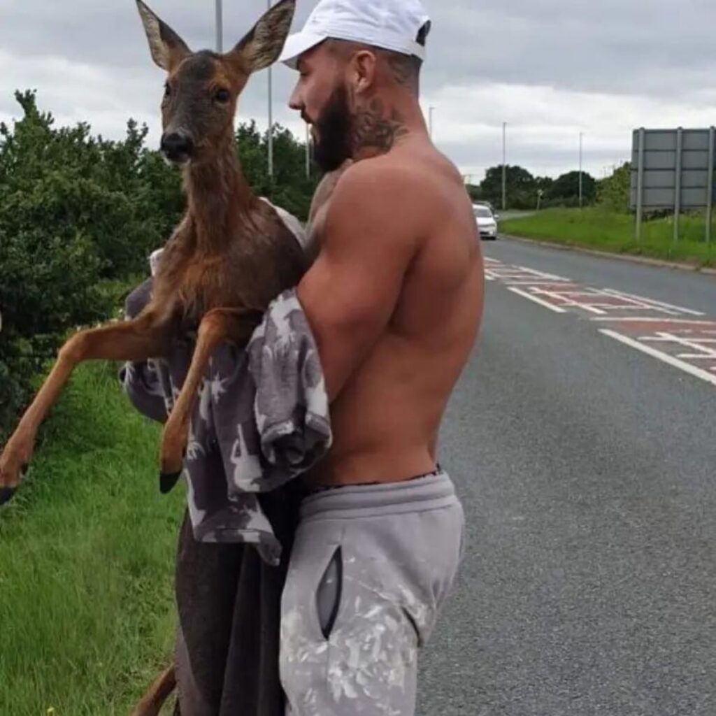 a man carries a young deer in his arms