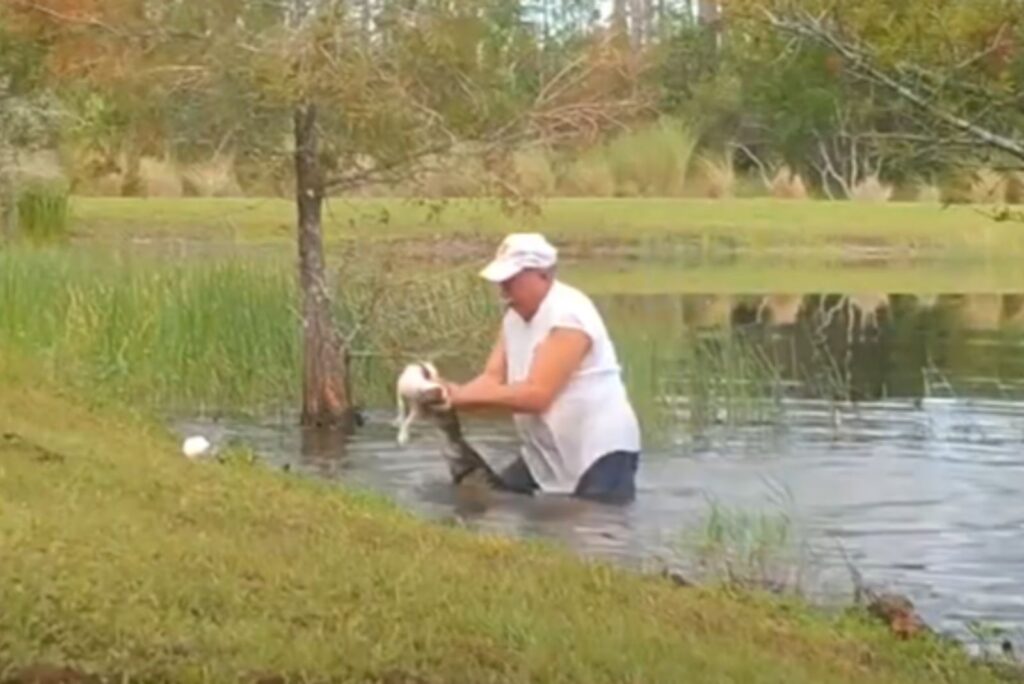 a man fights an alligator in the water