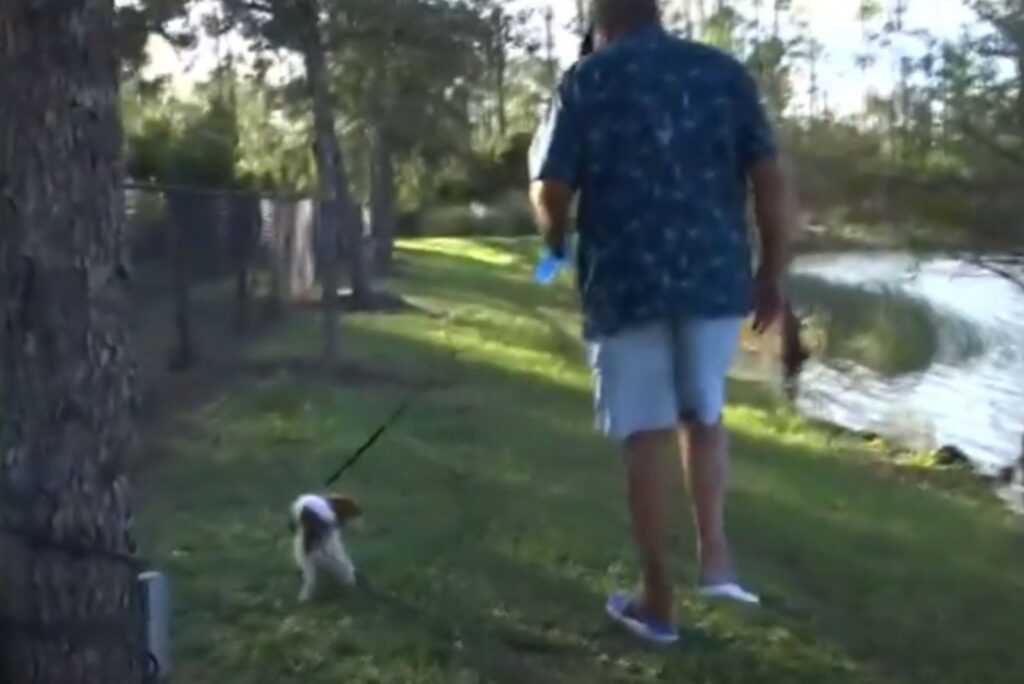 a man leads a dog on a leash along the river