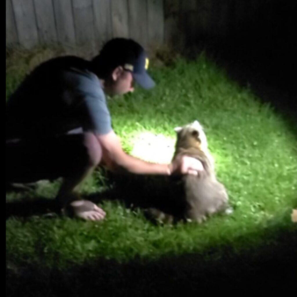 a man rescues a dog in the yard