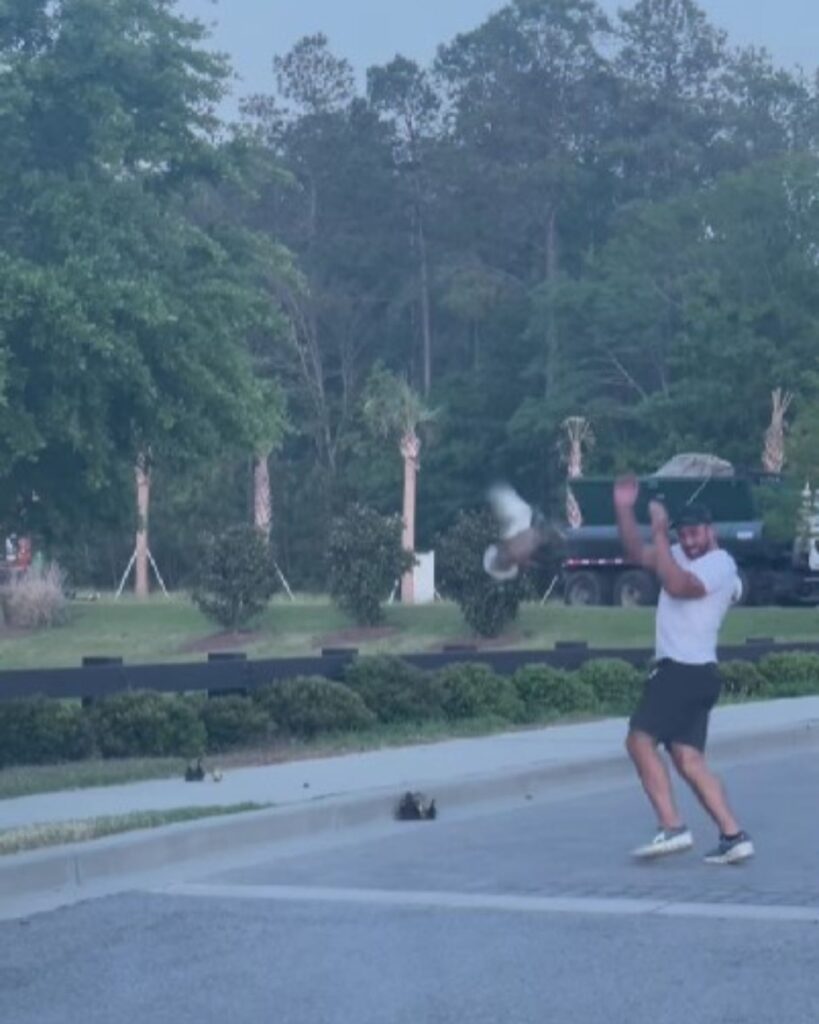 a man saves a duckling that is trying to fly