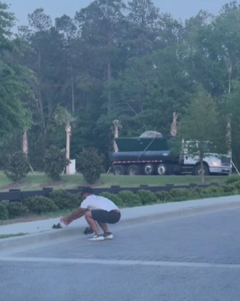 a man saves ducklings on the street