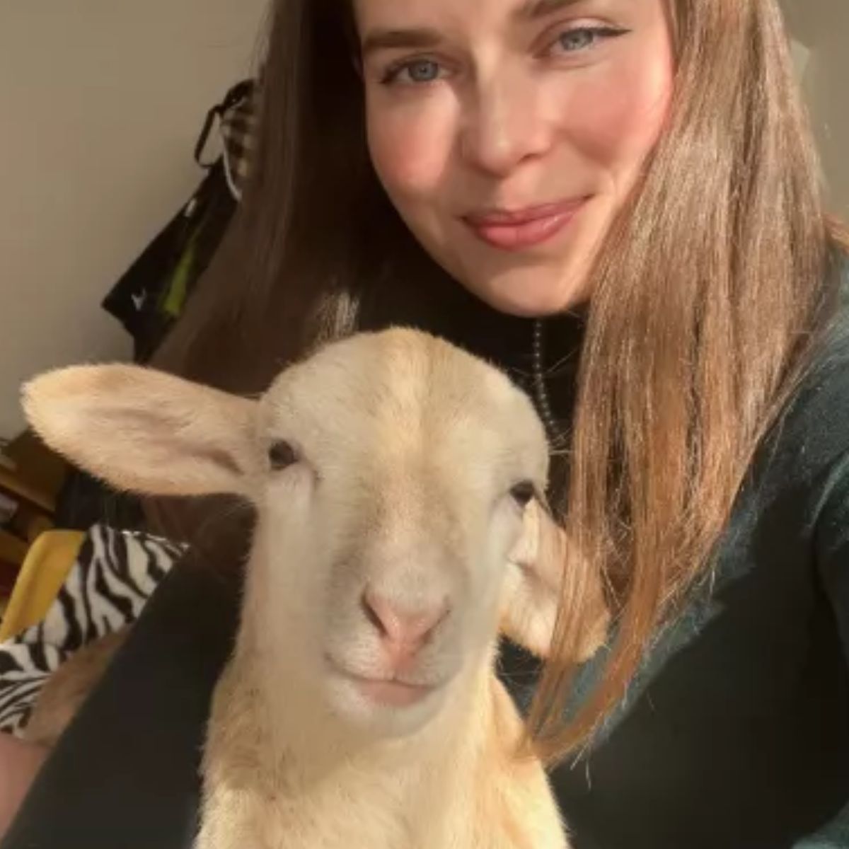 baby lamb and woman