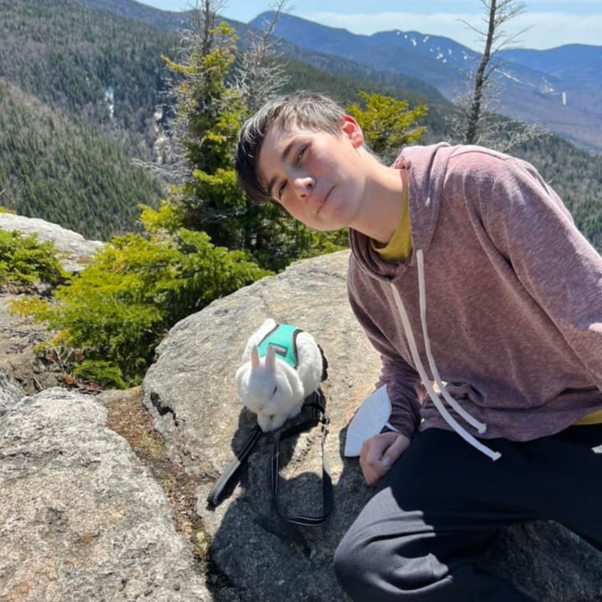 bunny and a boy on a mountain