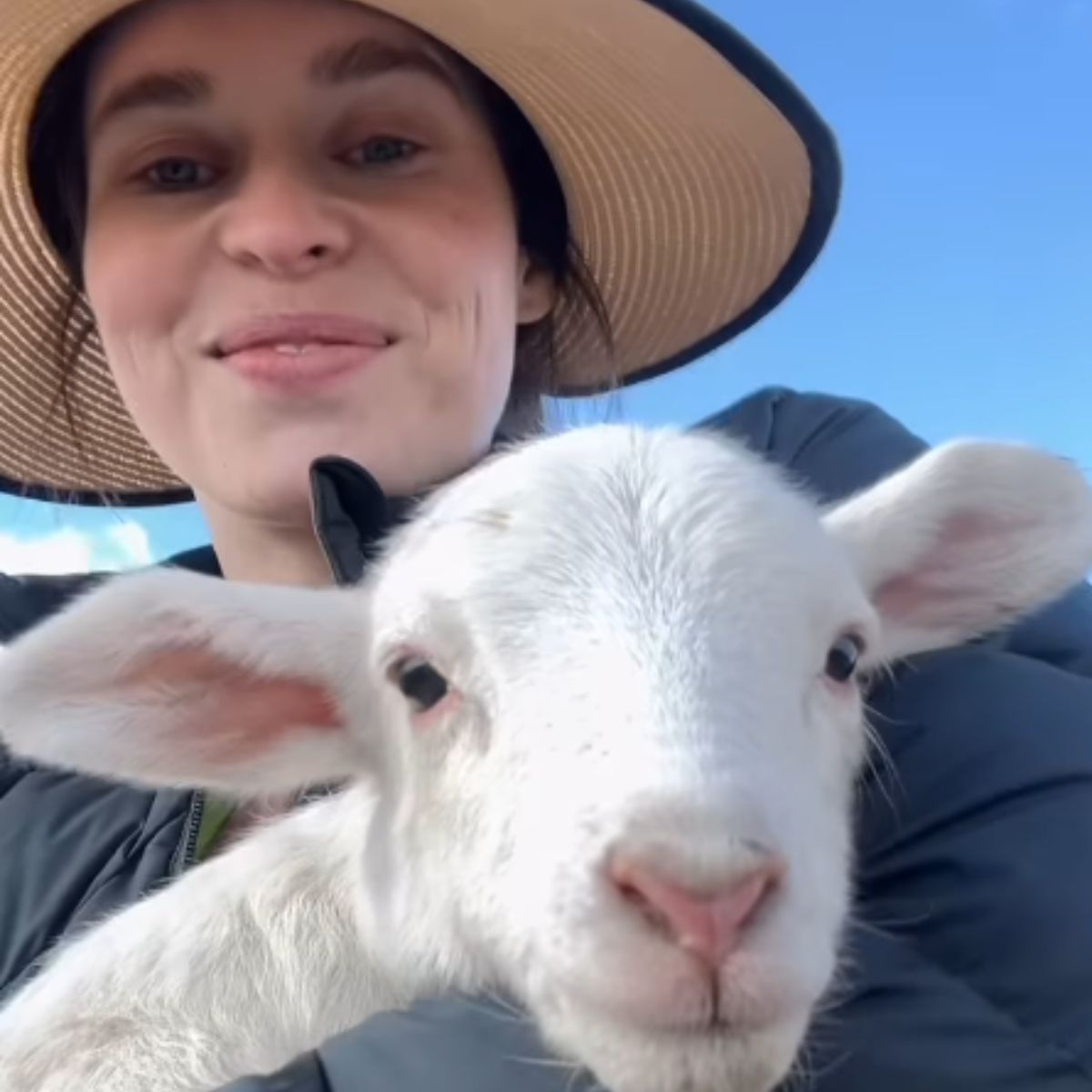 cute lamb and woman