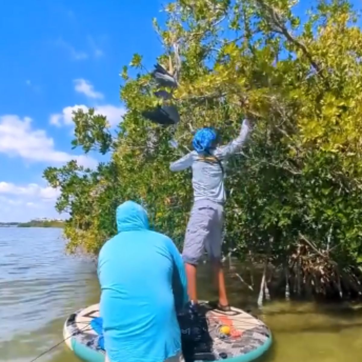 guy on boat helping a bird