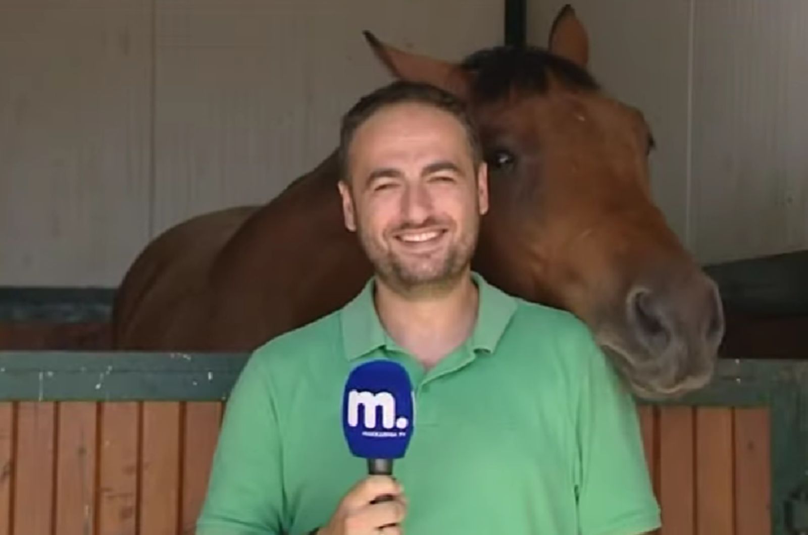 horse leaning on mans shoulder