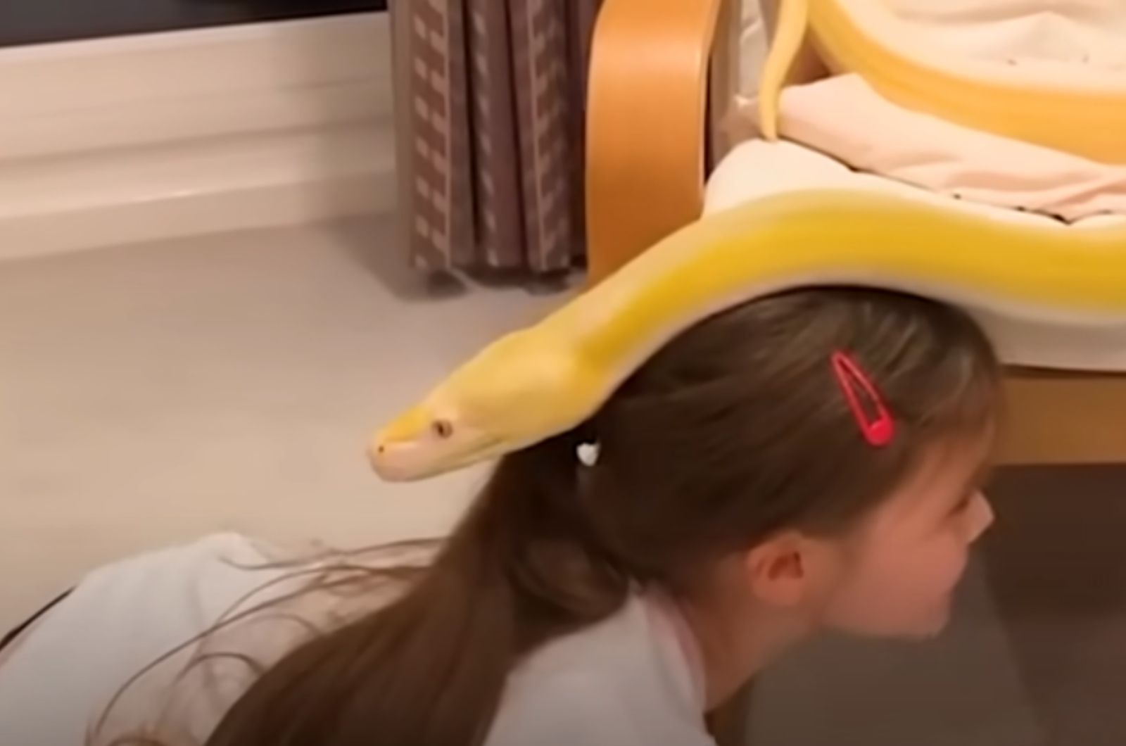 kid and giant snake