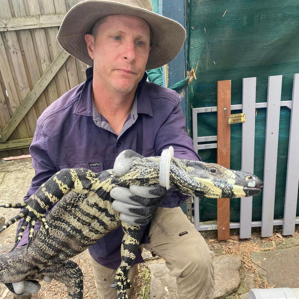 man and black and yellow lizard