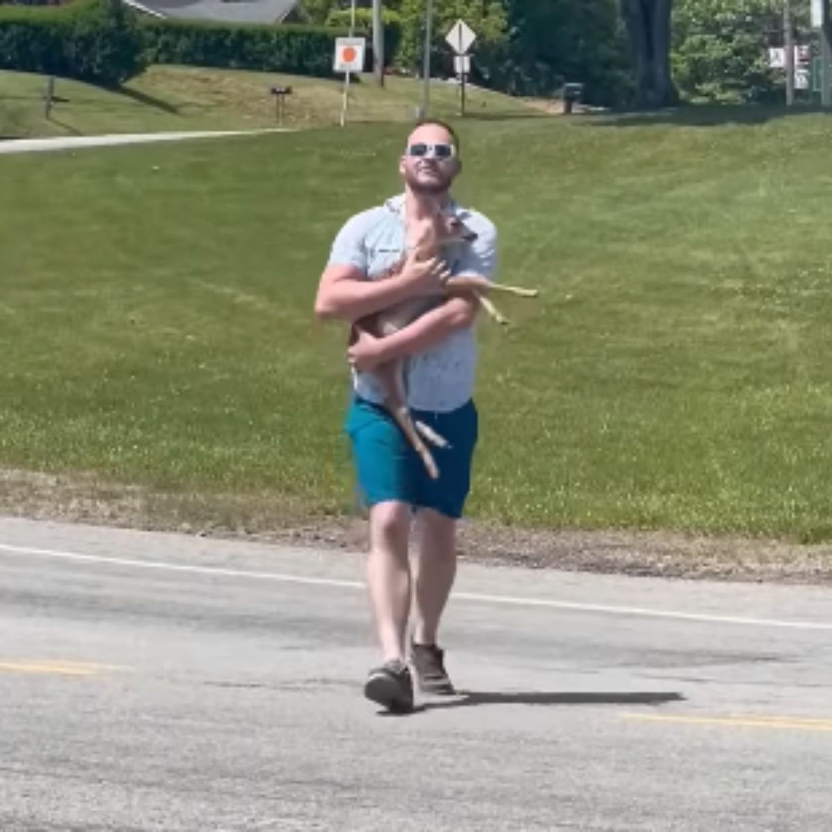 man carrying a fawn