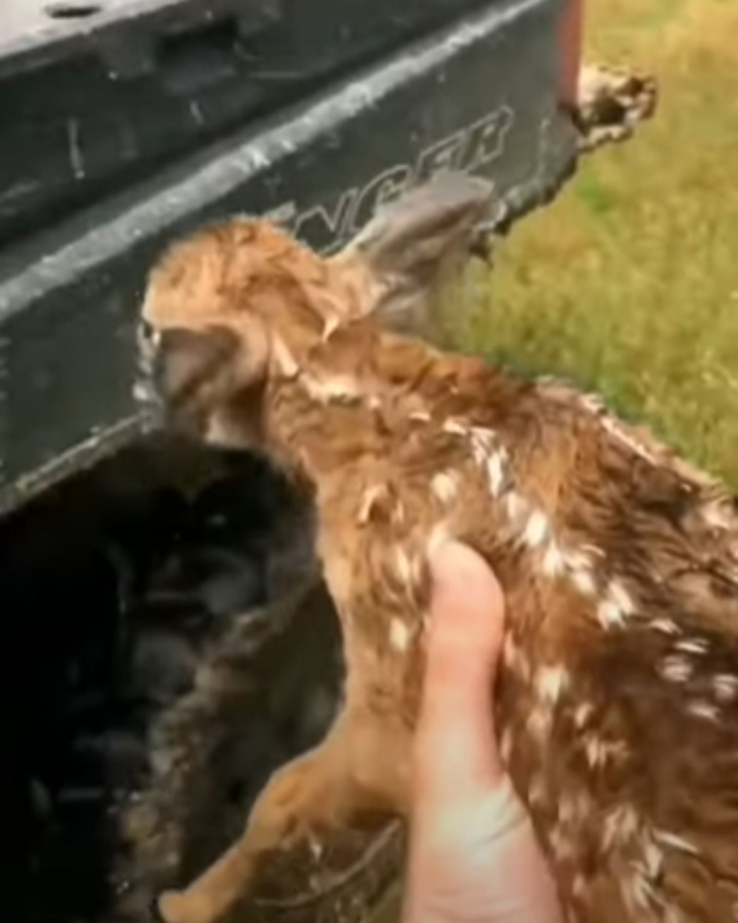 man holding a lamb