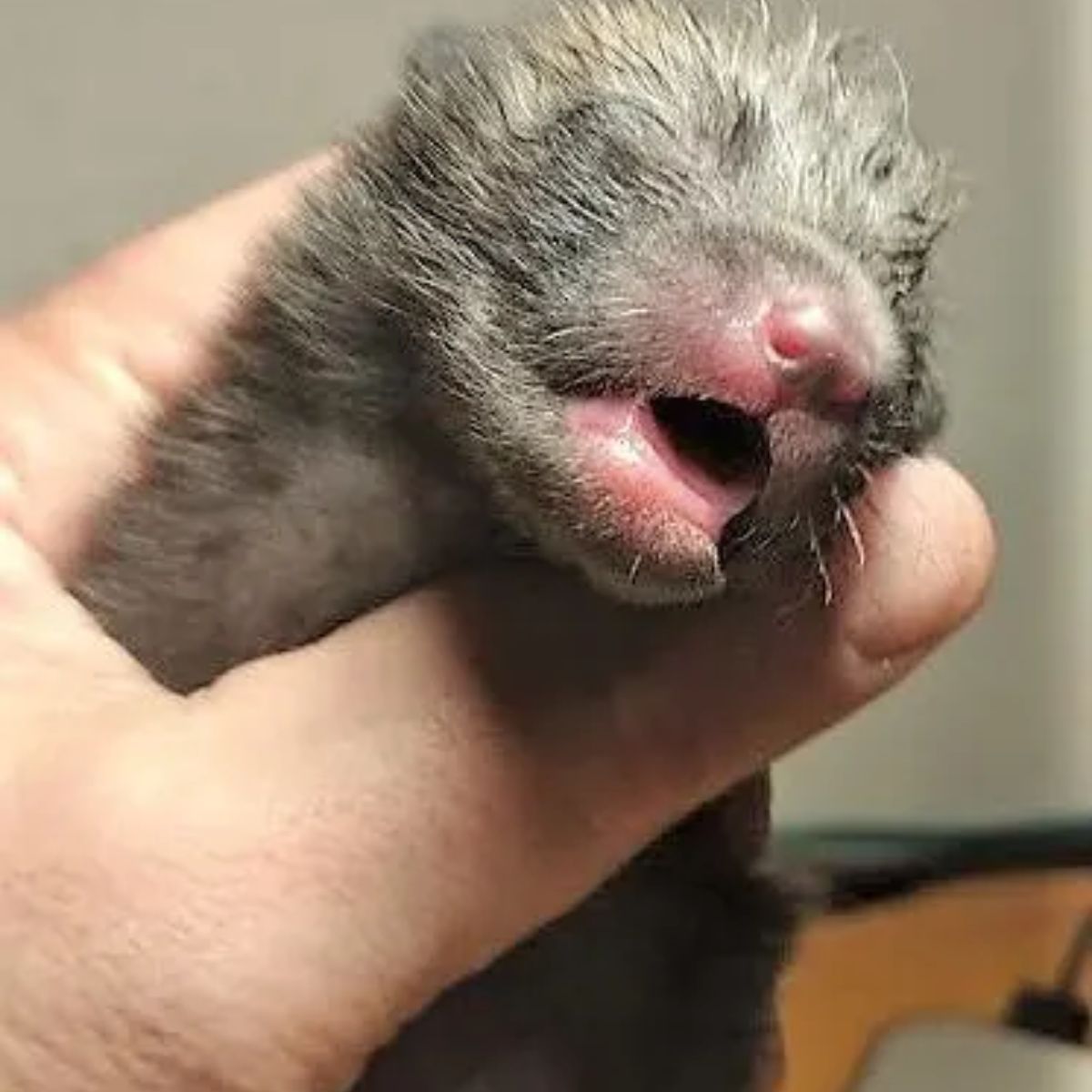 man holding a newborn