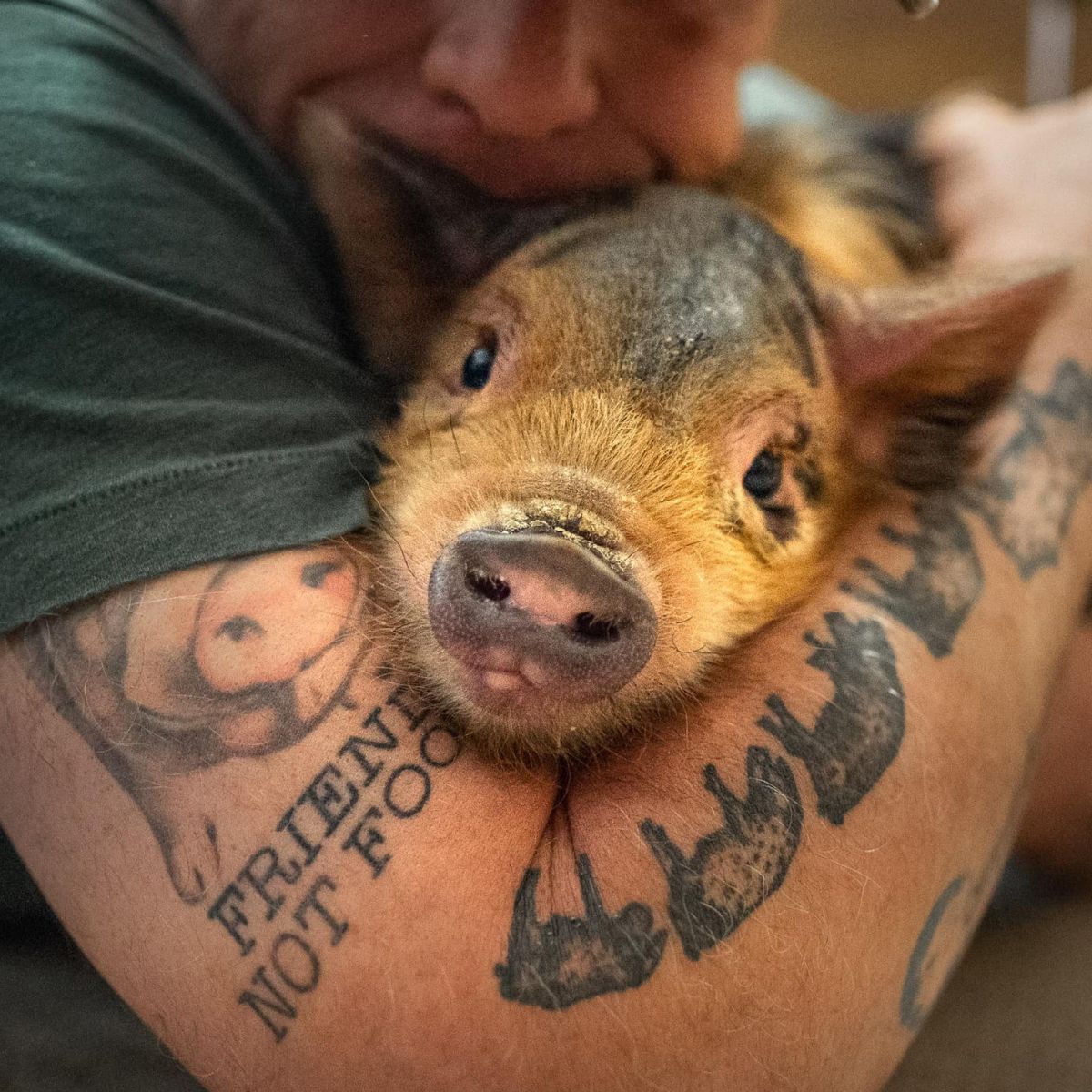 man holding the piglet