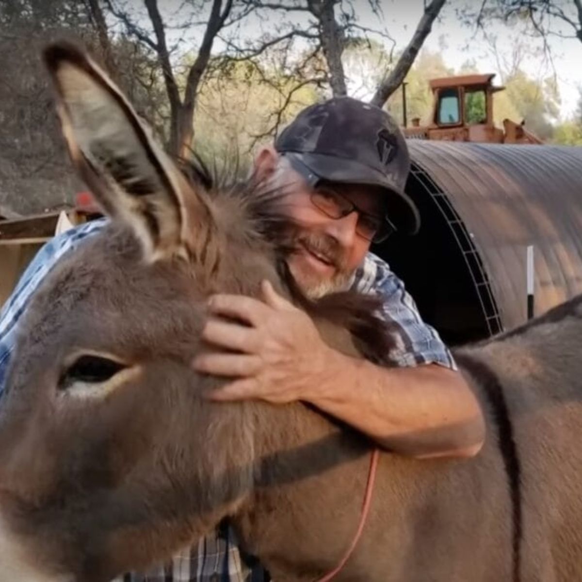 man hugging donkey