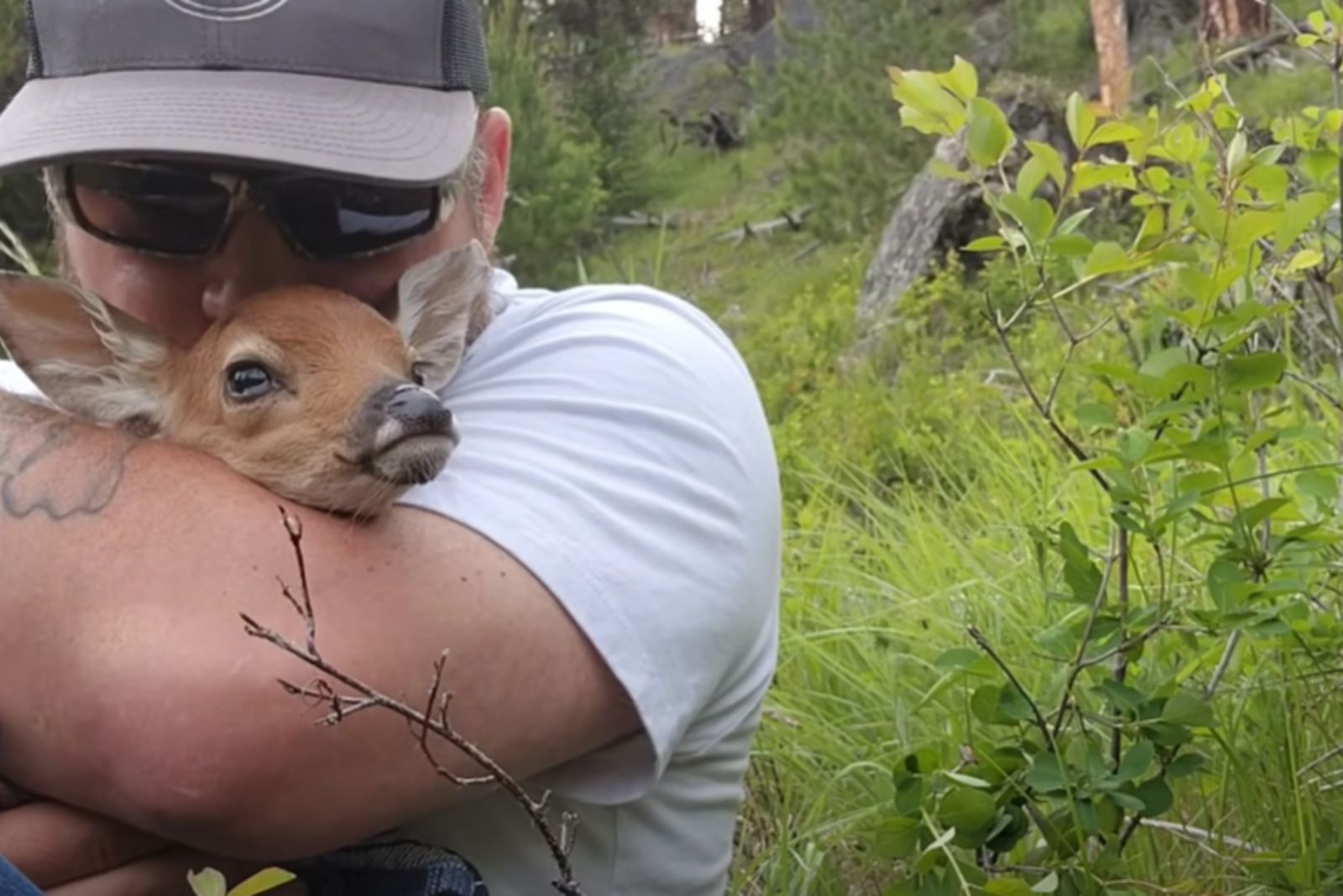 man kissing the fawn