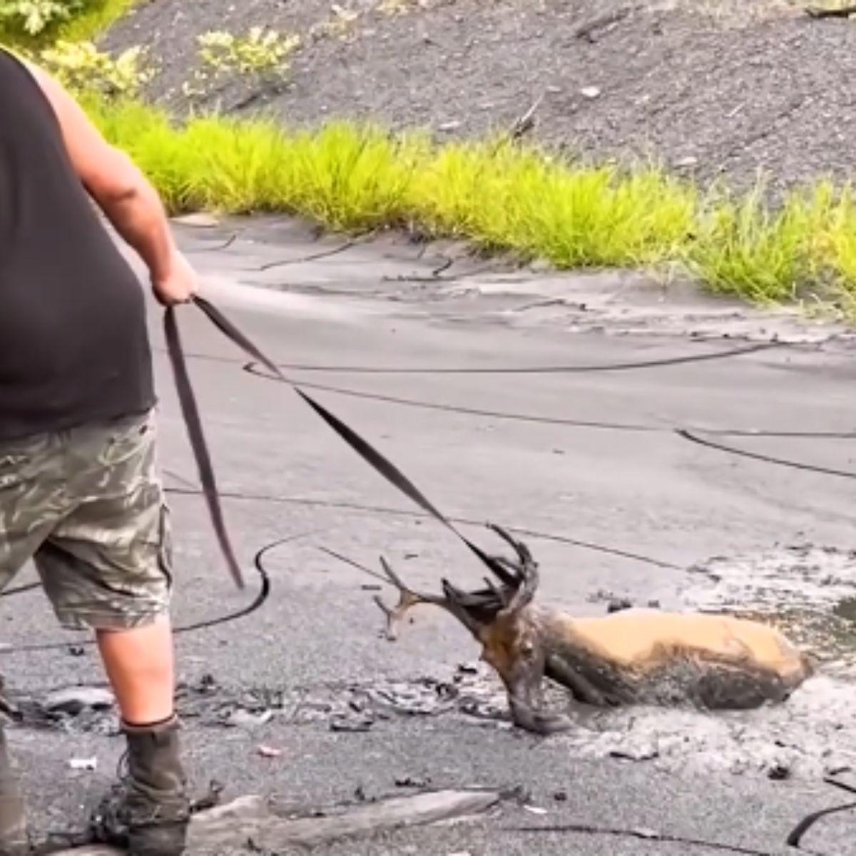 man pulling the buck out of mud