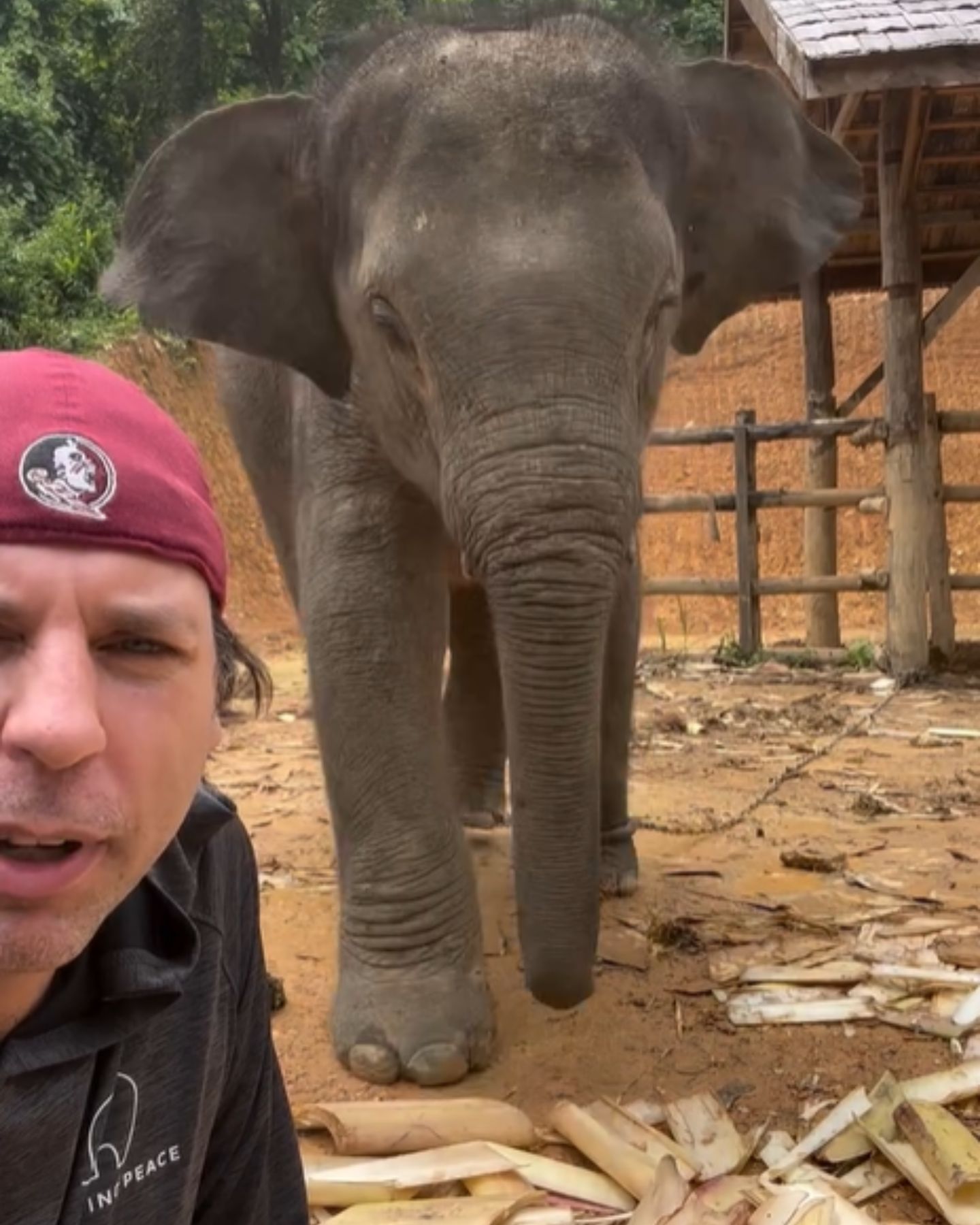 man taking a selfie with elephant