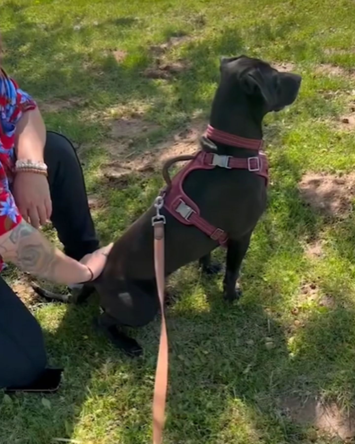 man with dog outdoor