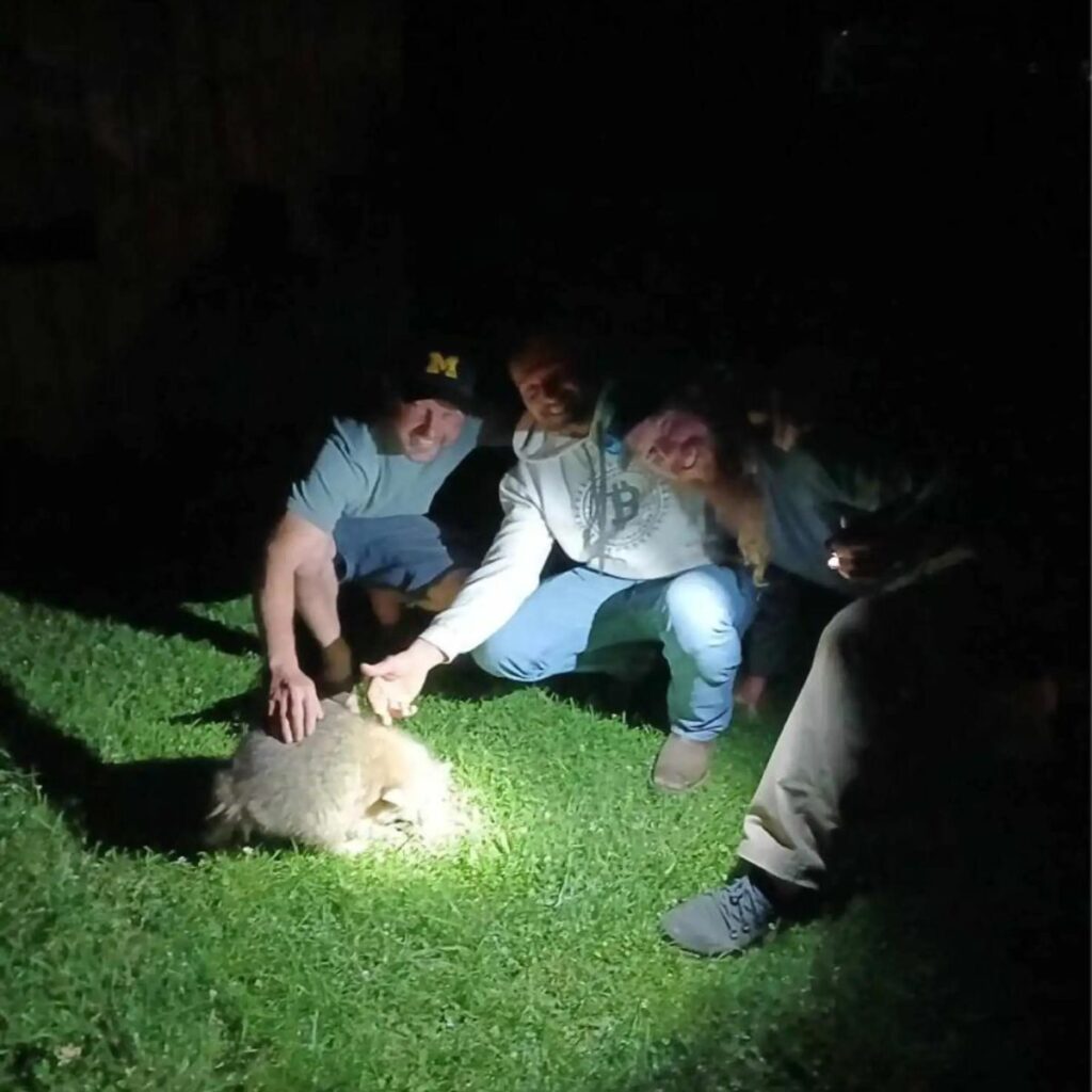 men take pictures with a dog in the yard