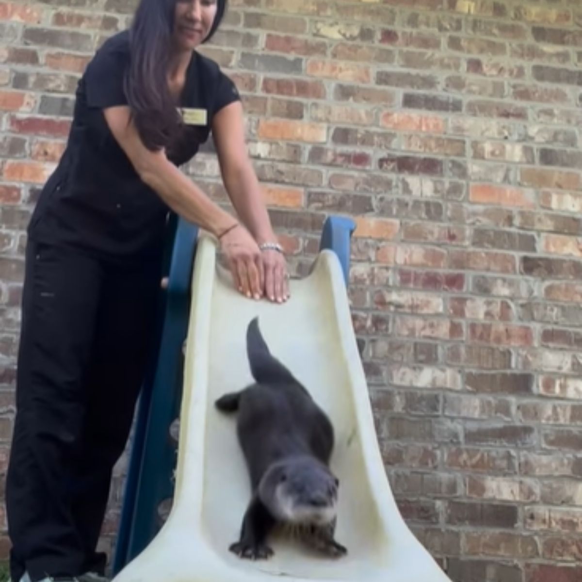 otter and woman