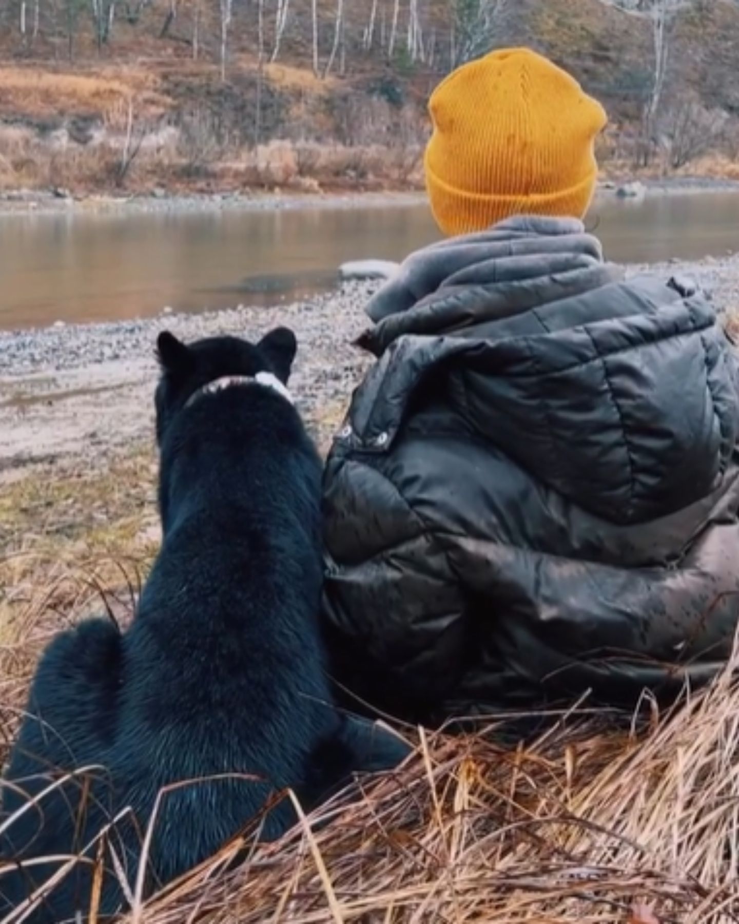 panther and woman sitting by the river