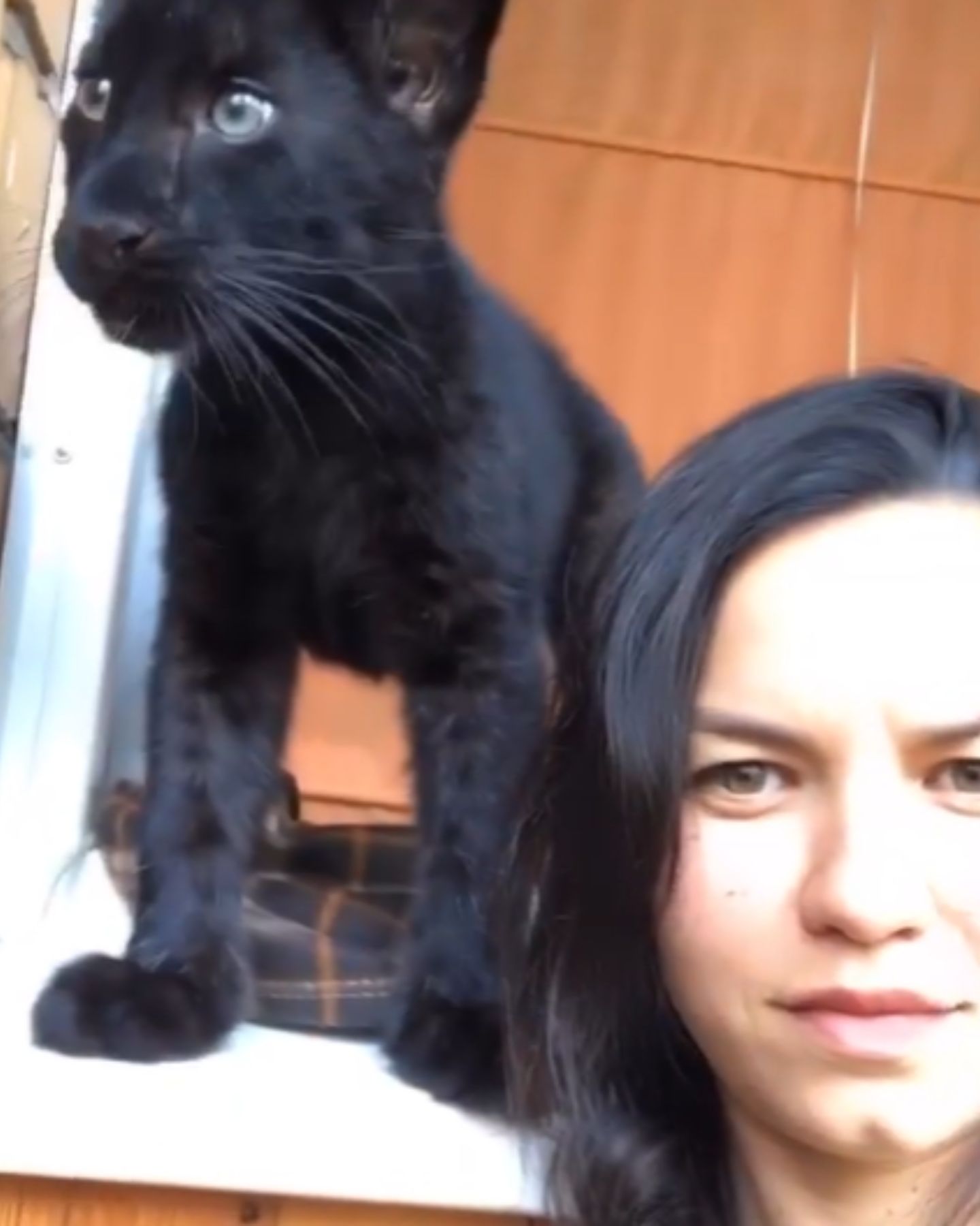 photo of woman and a panther