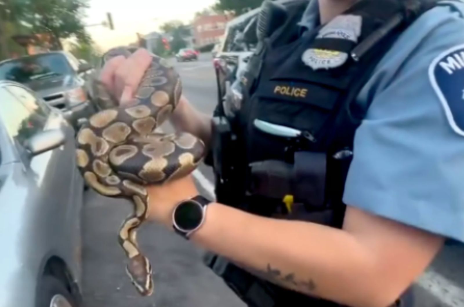 police officer with snake on hands