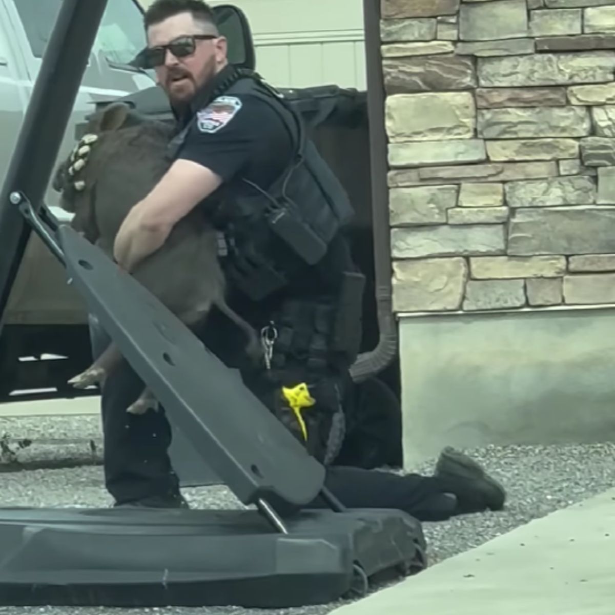 policeman holding a hog