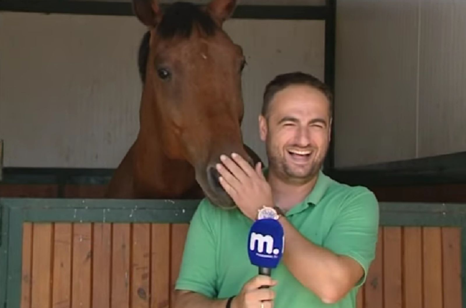 reporter laughing with horse