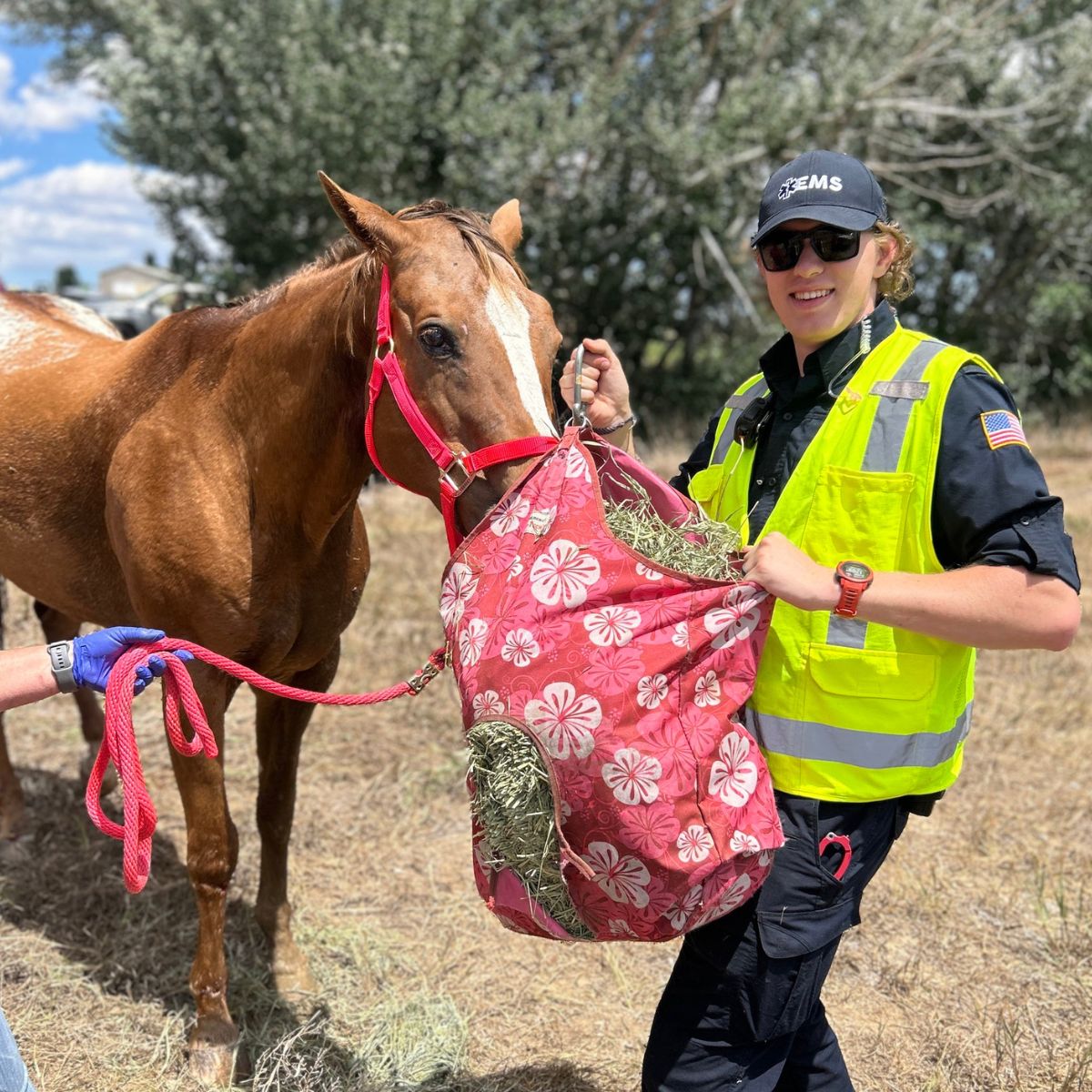 rescuer with horse