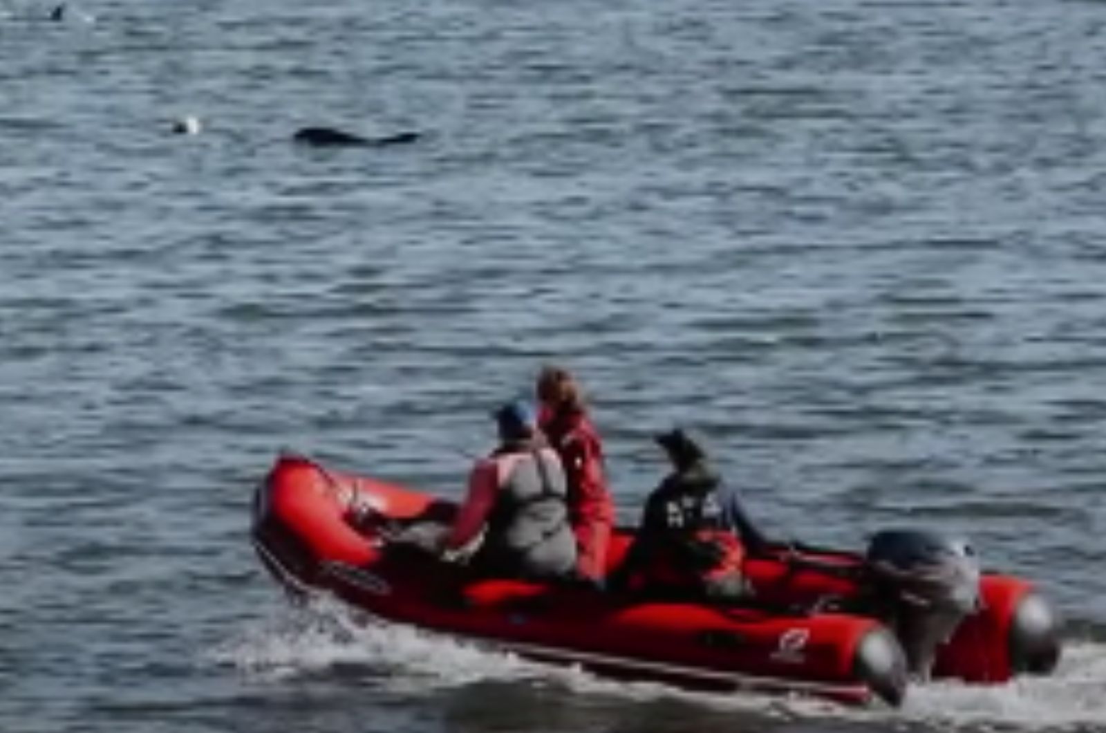 rescuers in a boat