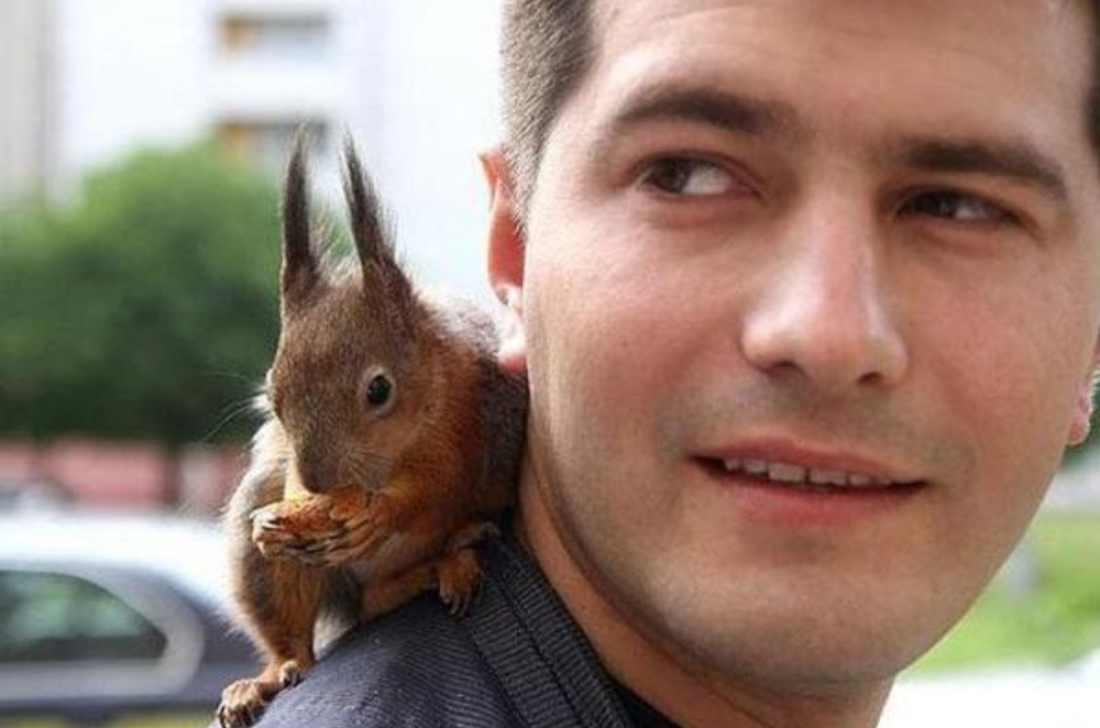 squirrel on mans shoulder